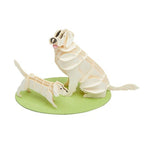 Papiermodel Golden Retriever Hond