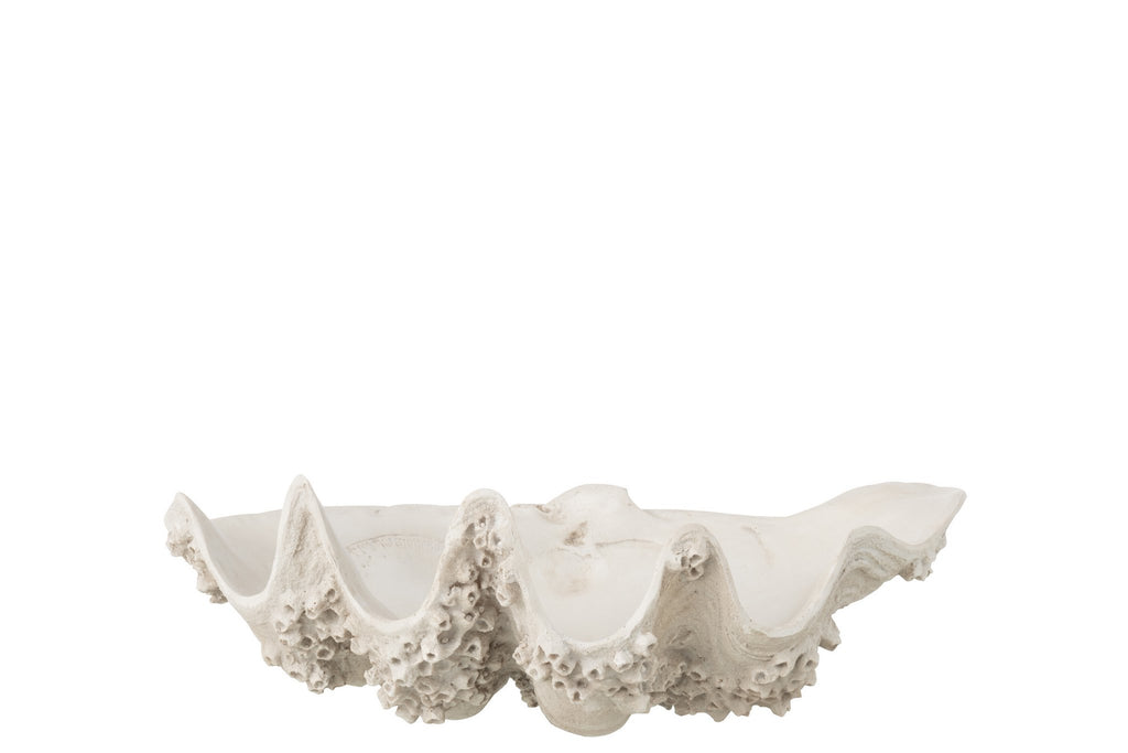 J-Line decoratie Sierschaal Zeeschelp - polyresin - gebroken wit - S
