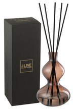 J -Line Geurolie Li -Ly Land - Glas - Bruin - Large