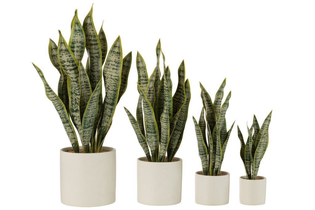 J-Line plant Sansevieria In Pot - kunststof - groen - extra large