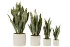 J-Line plant Sansevieria In Pot - kunststof - groen - extra large