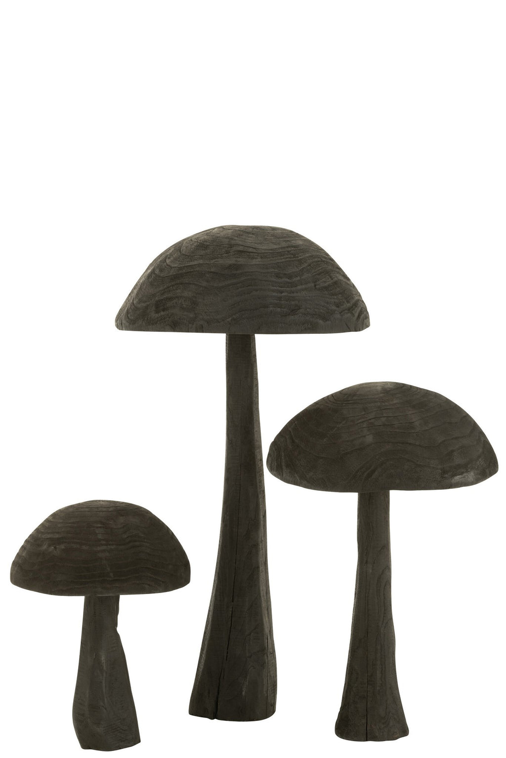 J-Line Paddenstoel Hout Zwart Large