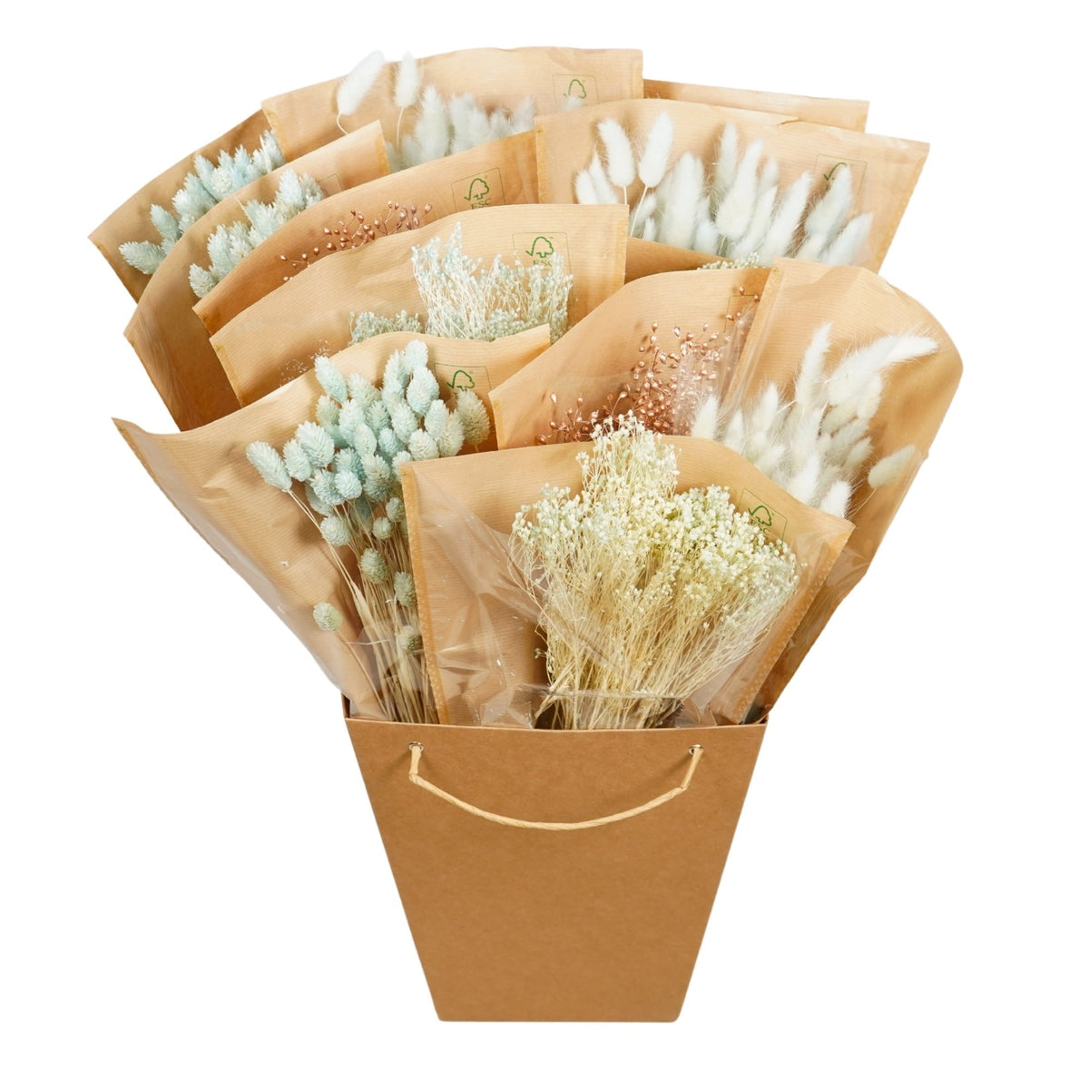 Gedroogde bloemen Mono Bunches - Baby Blue