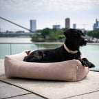 Buffel Ortho | Premium orthopedisch hondenbed