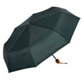 Opvouwbare Paraplu 56 cm Groen Polyester Regenscherm