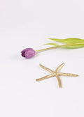 Decoratieve koperen zeester