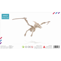 Bouwpakket Pterosaurus- kleur