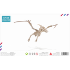 Bouwpakket Pterosaurus- kleur
