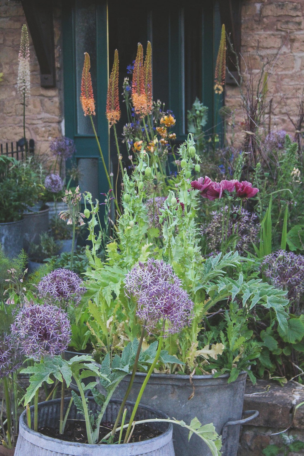 Bloemen in potten