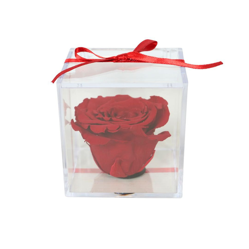 Geconserveerde rode roos in geschenkverpakking