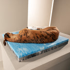 Bellagio Ortho | Premium orthopedisch hondenbed