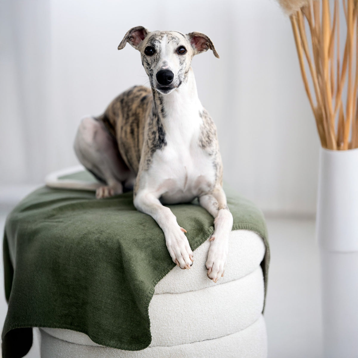 Reverso katoenen omkeerbare deken voor honden
