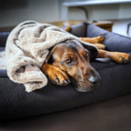 Cosy knuffeldeken voor honden