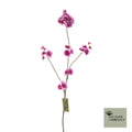 Prunus malaga spuit nieuwe schoonheid 84cm