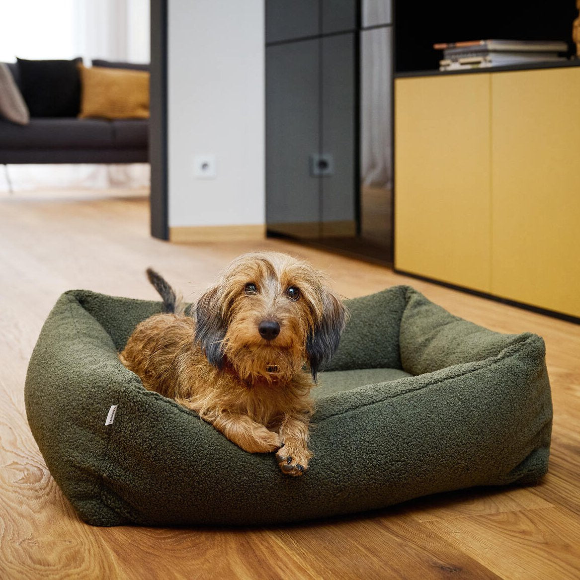 Teddy Ortho | Premium orthopedisch hondenbed