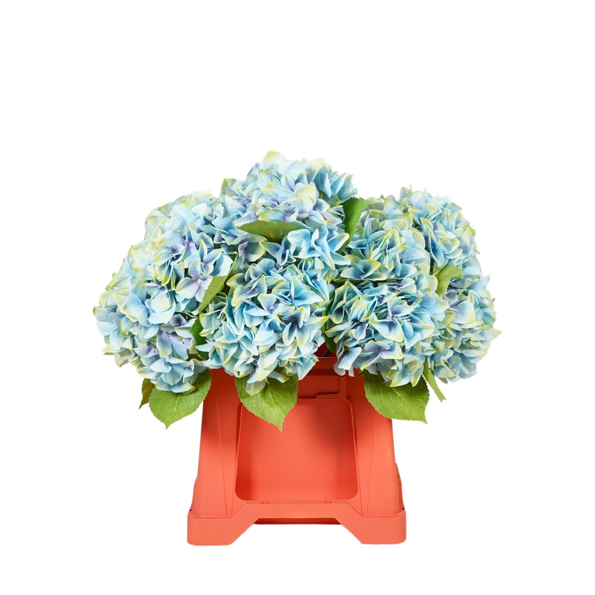 Hortensia Kunst challenge steel blauw 47cm