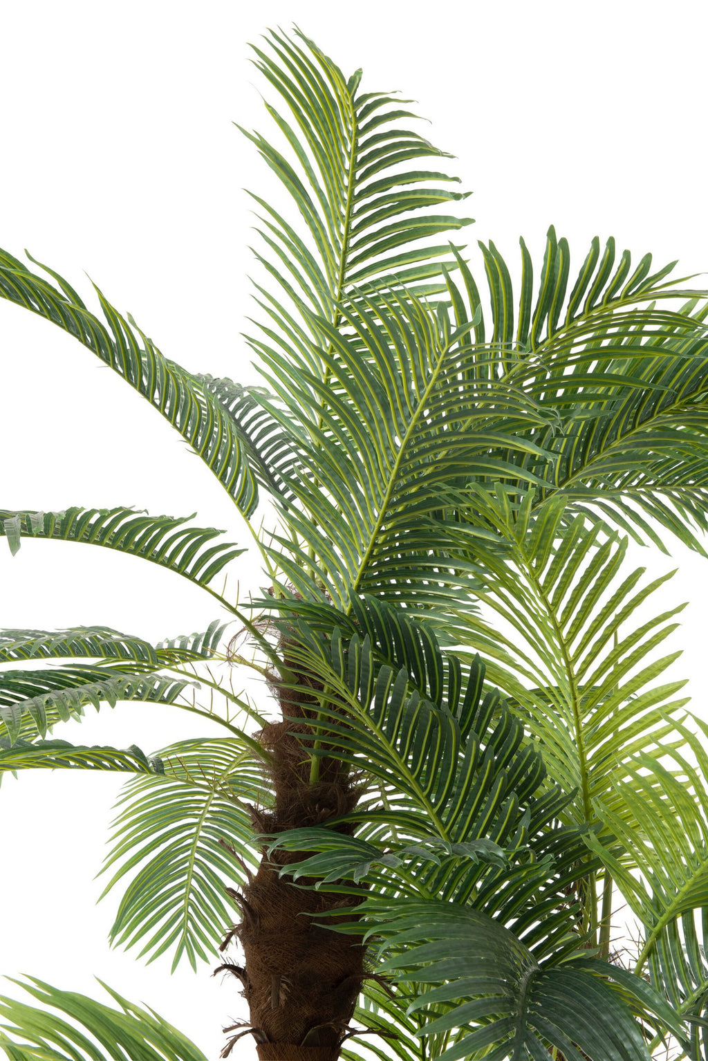 J-Line Palmboom 3Delig Real Touch In Pot Plastiek Groen