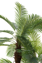 J-Line Palmboom 3Delig Real Touch In Pot Plastiek Groen