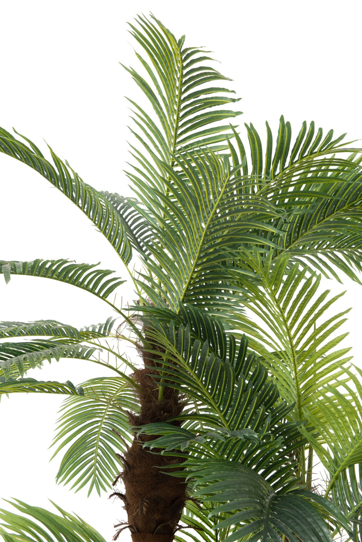 J-Line Palmboom 3Delig Real Touch In Pot Plastiek Groen
