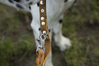 Giro leren halsband voor honden