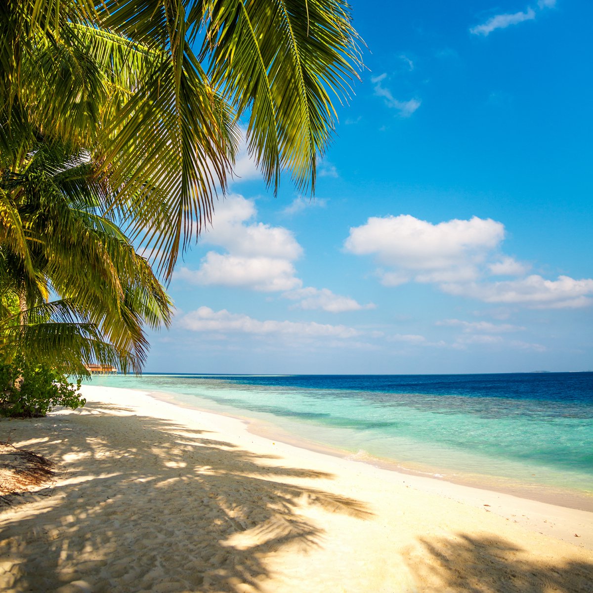 Summer Outdoor Schilderij fotoprint 1 75x75x2,5cm