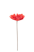 J-Line decoratie Bloem Eva - rubber - koraalrood - S - set van 8