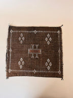 Cactus Silk Kussen