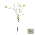 FD Prunus Malaga spuitwit 126cm