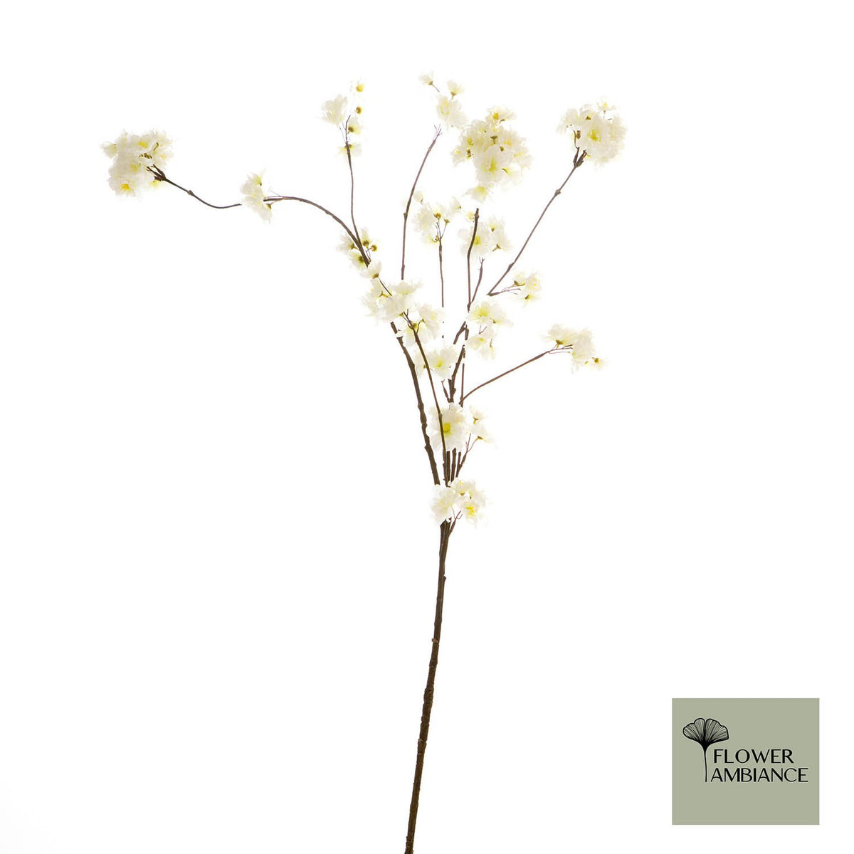 FD Prunus Malaga spuitwit 126cm