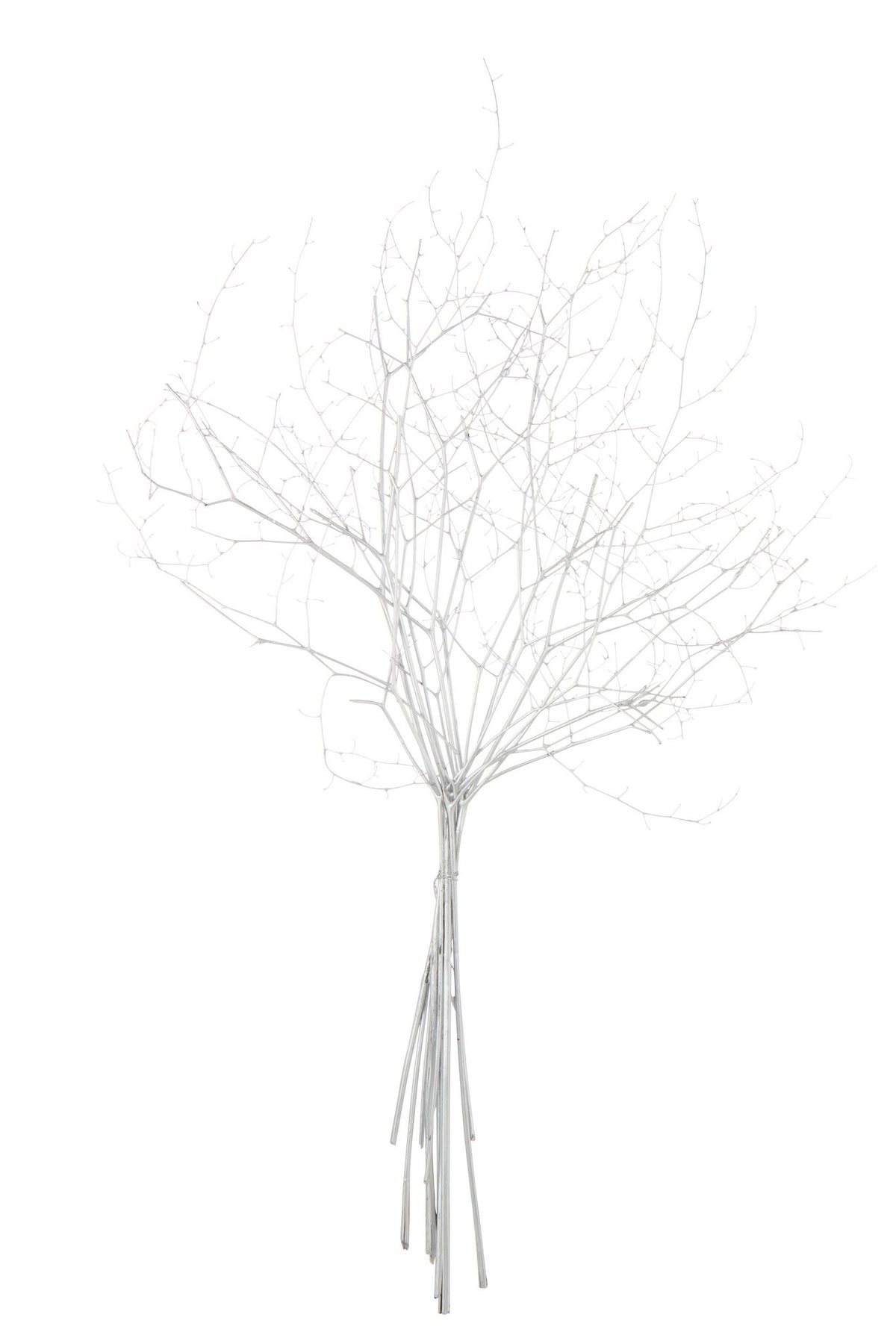 J-Line decoratie tak droogbloem - riet - zilver