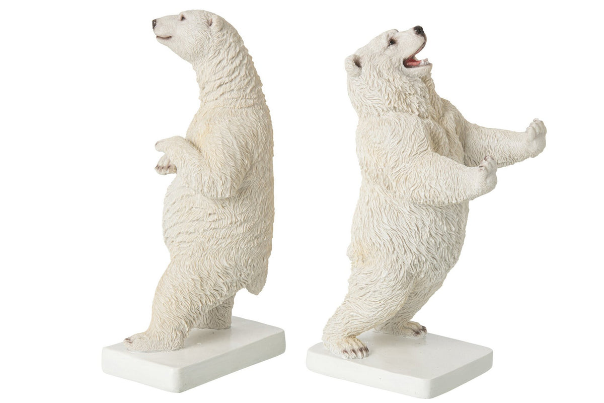 J-Line Boekensteunen beer - polyresin - wit - set van 2