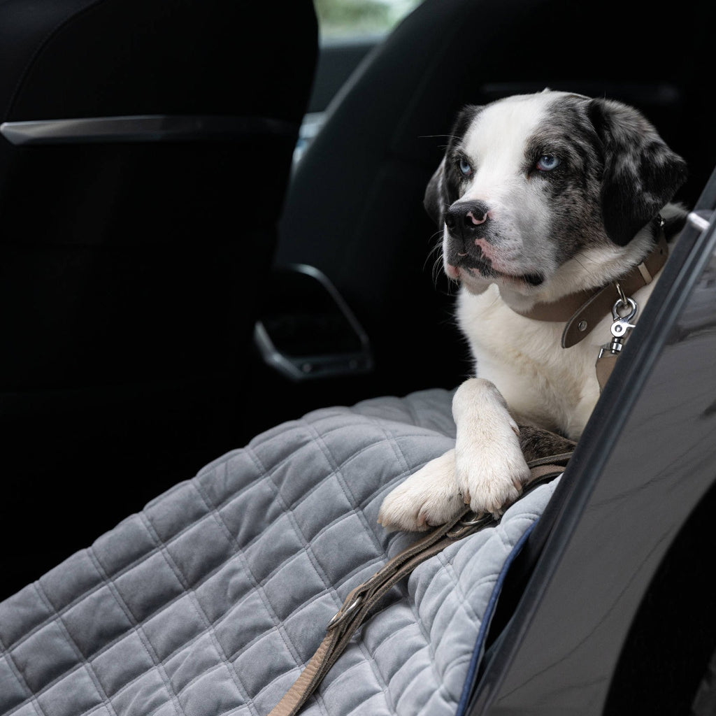 Oxford fluwelen deken voor honden