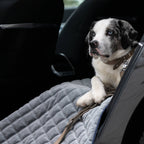 Oxford fluwelen deken voor honden