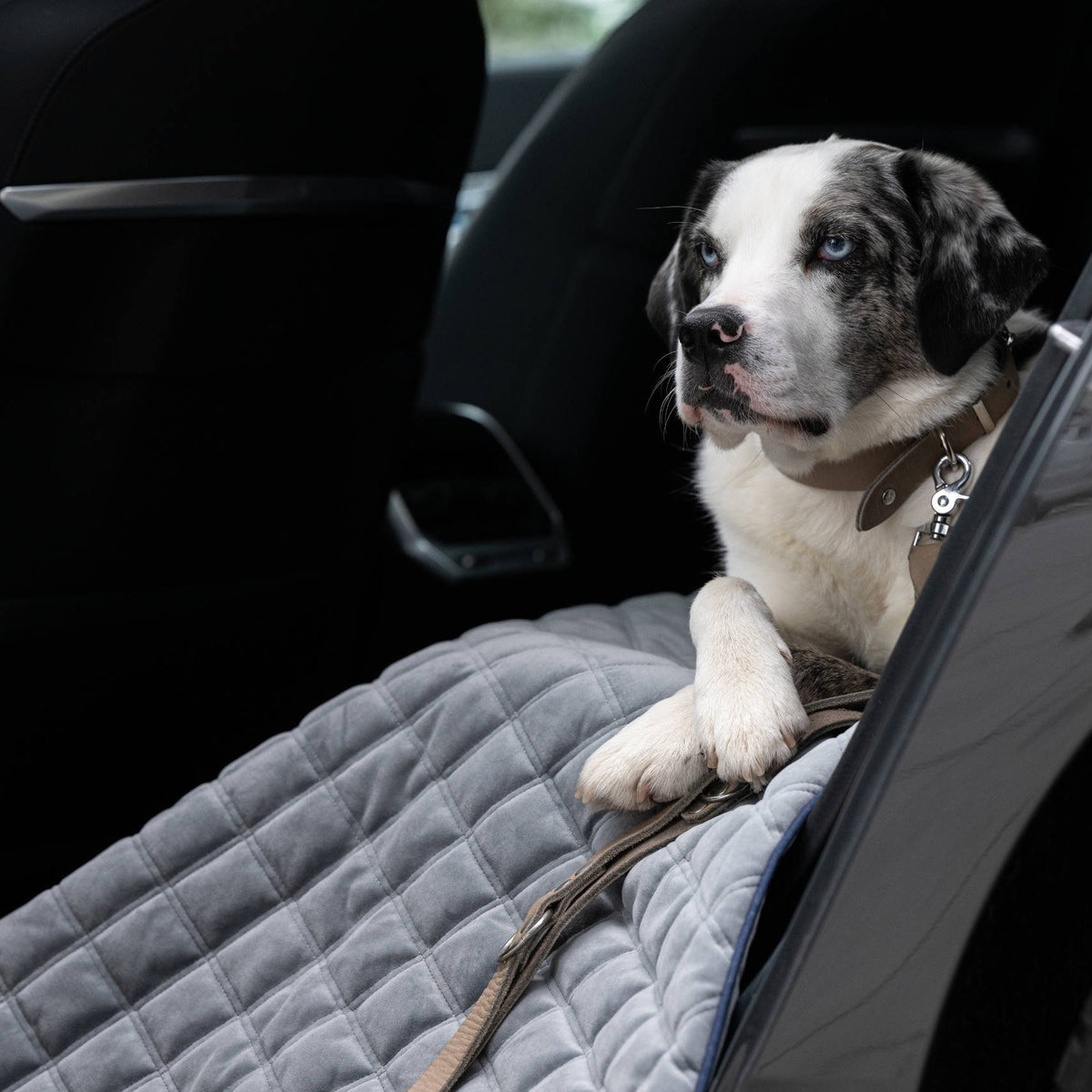 Oxford fluwelen deken voor honden