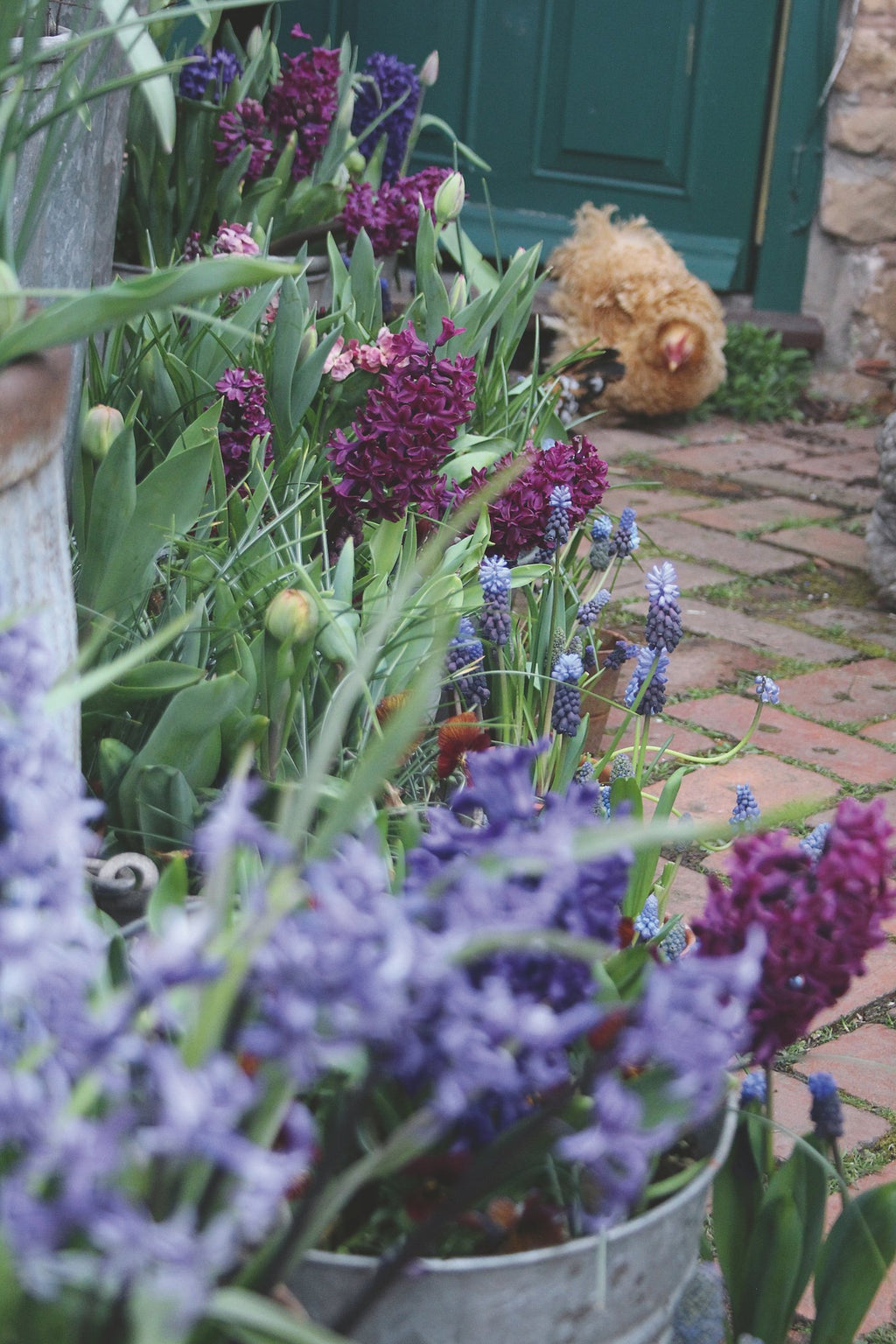 Bloemen in potten