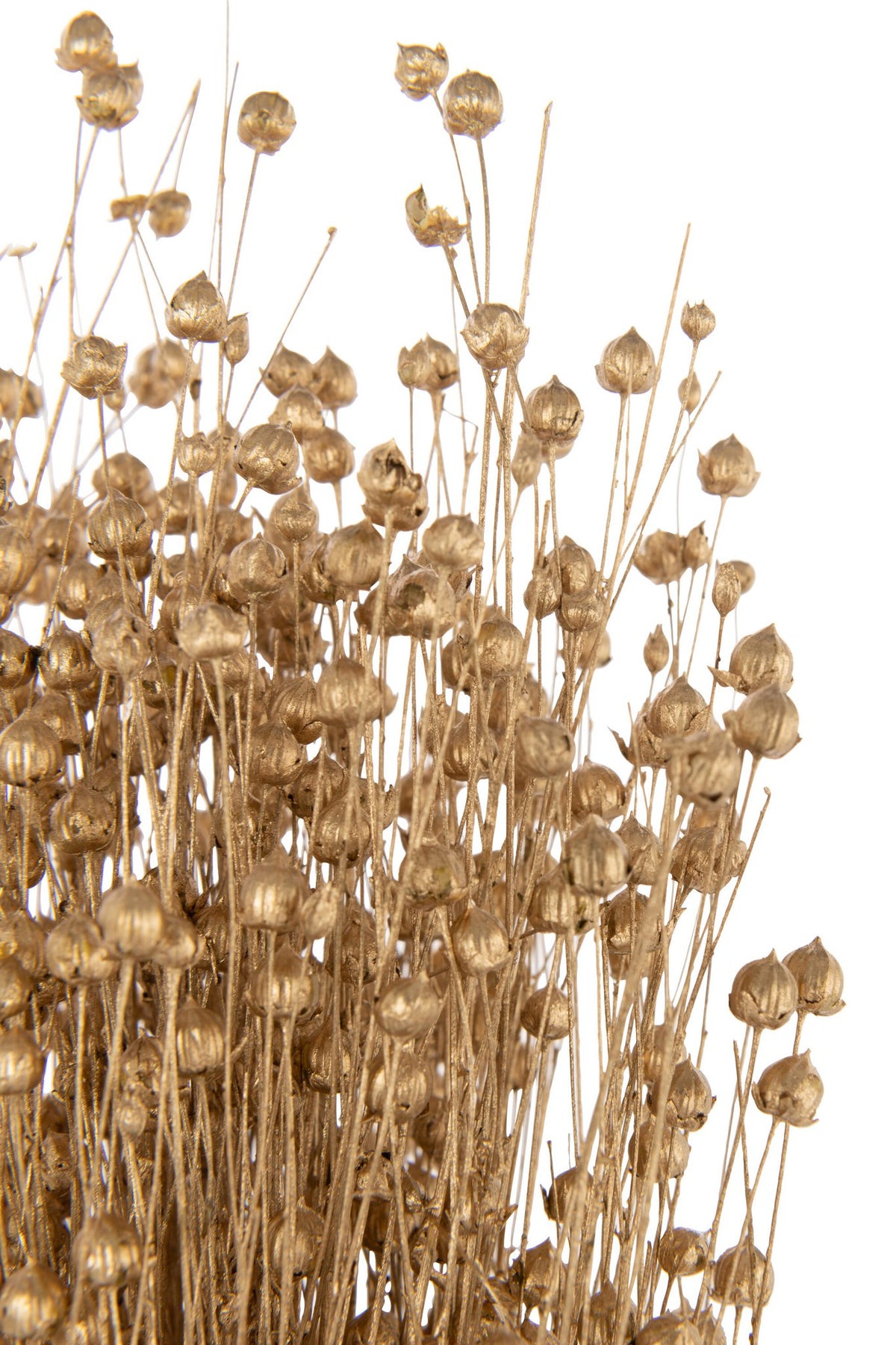 J-Line decoratie tak Linnen Droogbloemen - riet - goud