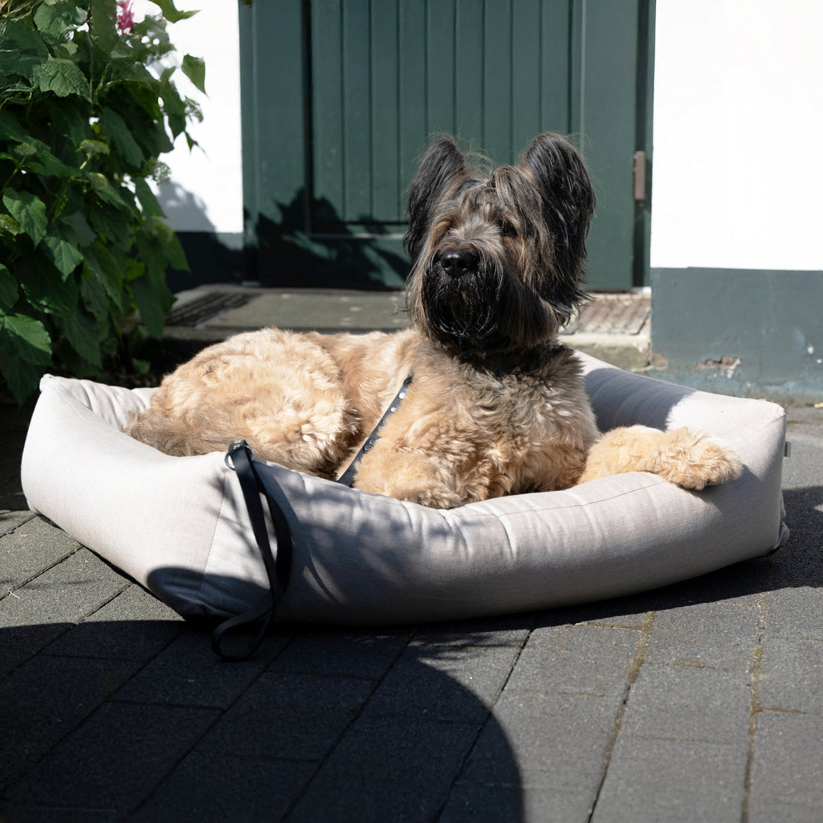 Soepele Ortho | Premium orthopedisch hondenbed