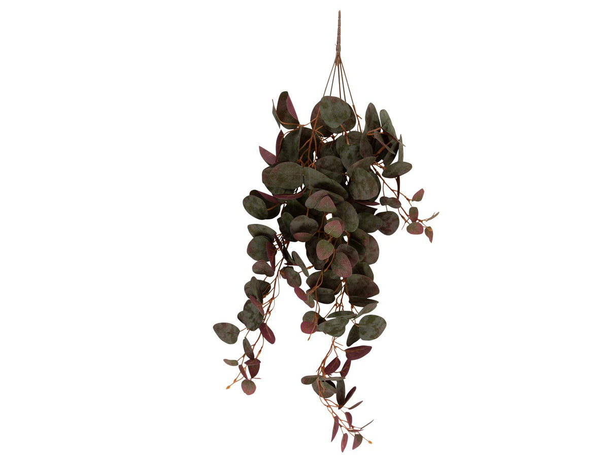 Kunstplant Hangende Ceropegia