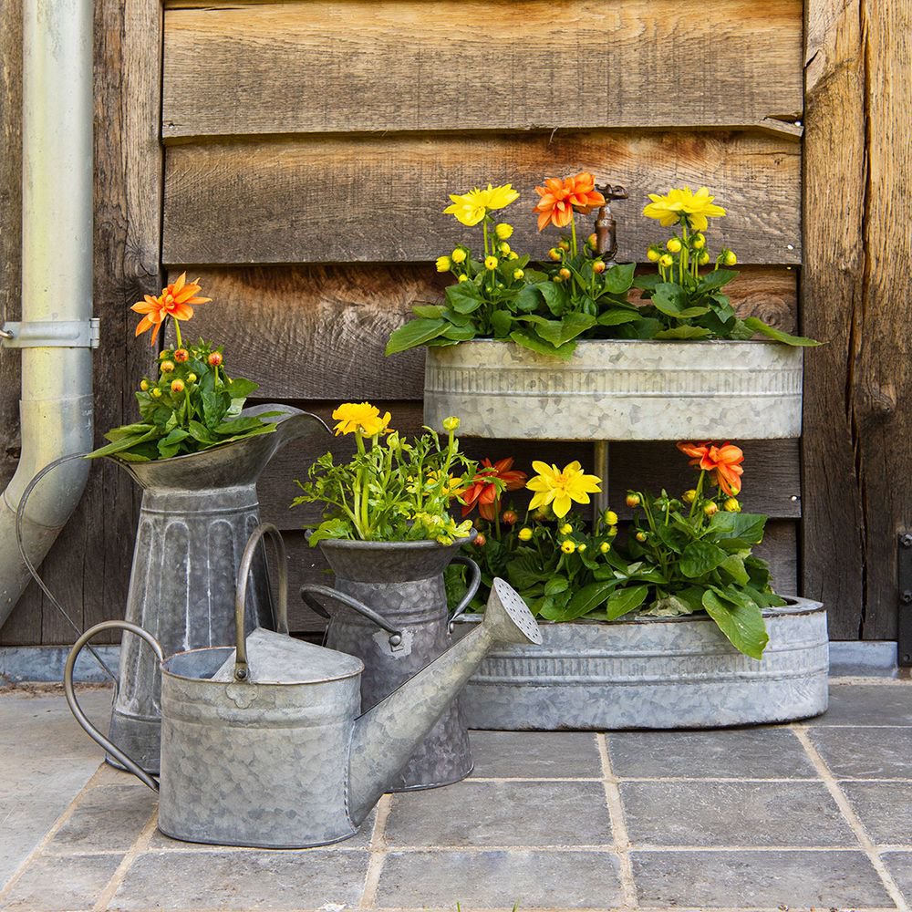 Decoratie Gieter 44x12x22 cm Grijs IJzer Plantengieter
