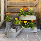 Decoratie Gieter 44x12x22 cm Grijs IJzer Plantengieter