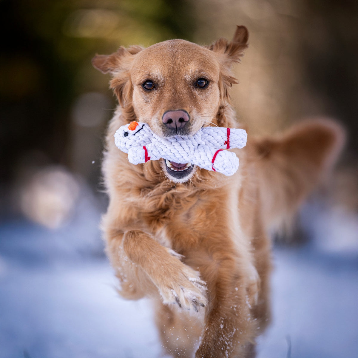 Shawn de Sneeuwman - cultspeelgoed voor honden