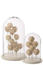 J-Line stolp Schelp - glas - wit/beige - L