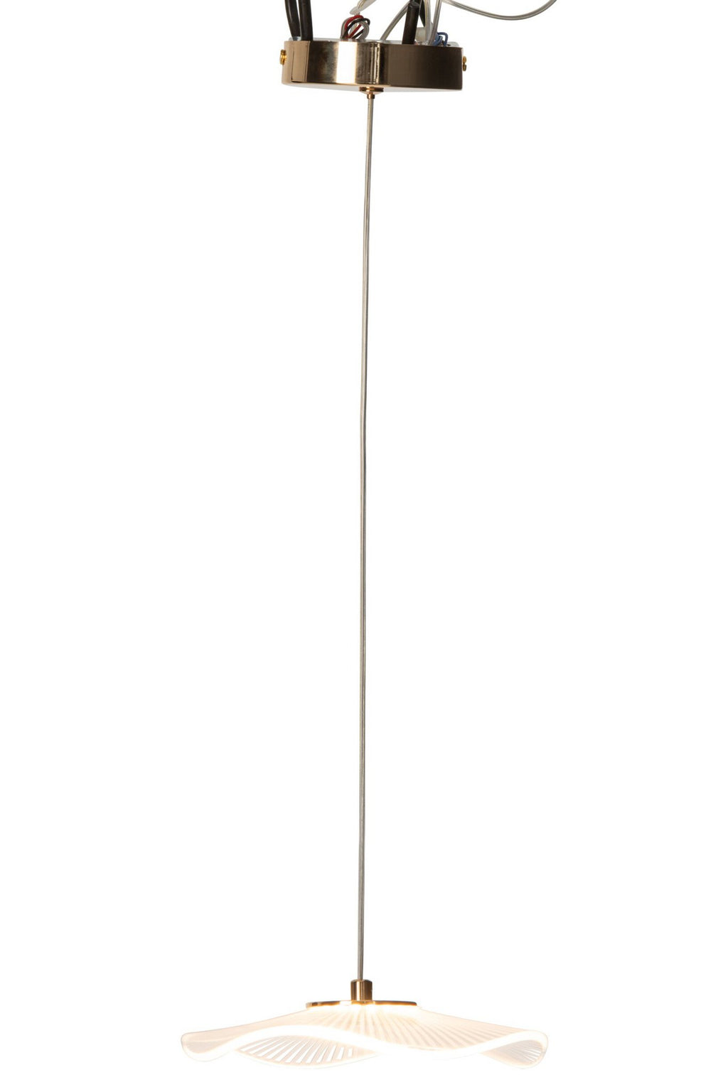 J-Line plafondlamp bloem - acryl - goud - small