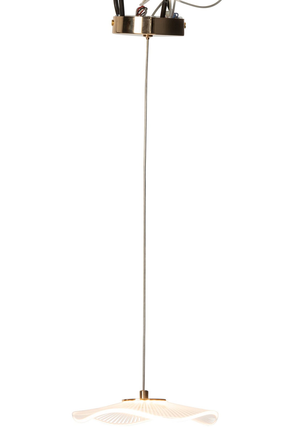 J-Line plafondlamp bloem - acryl - goud - small