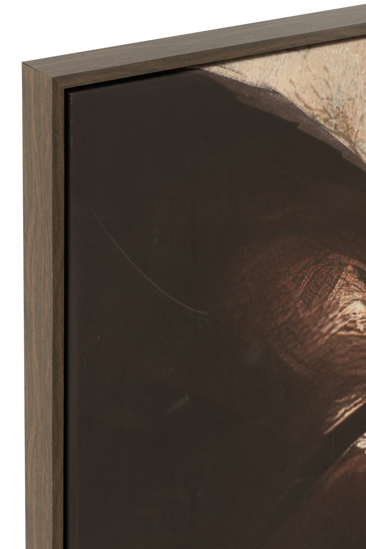J-Line wanddecoratie Rechthoek Gaya - canvas - taupe/donkerbruin