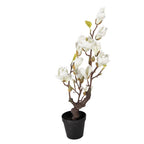 Kunstplant Magnolia 16x14x60 cm Wit Kunststof