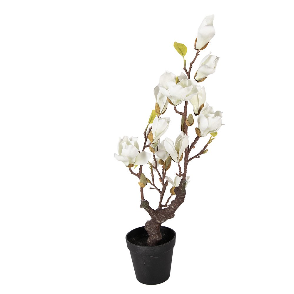 Kunstplant Magnolia 16x14x60 cm Wit Kunststof