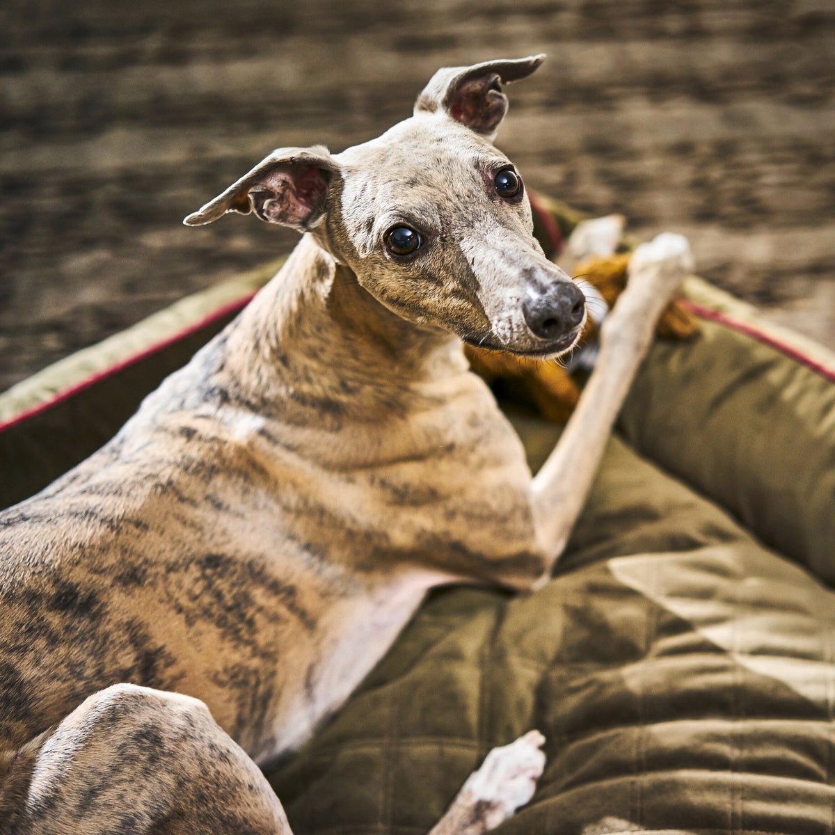 Oxford I Klassieke Hundebett