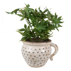 Bloempot 20x17x15 cm Beige Zwart Keramiek Hartjes Bloempot Binnen