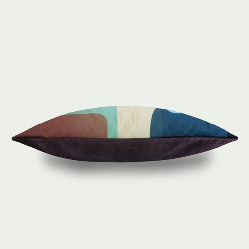 263 Pillow Roaring.2 60x40